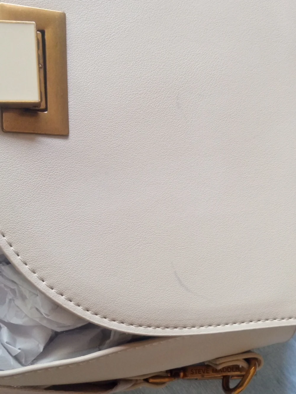 Steve Madden Clear Crossbody Handbag,NWT.